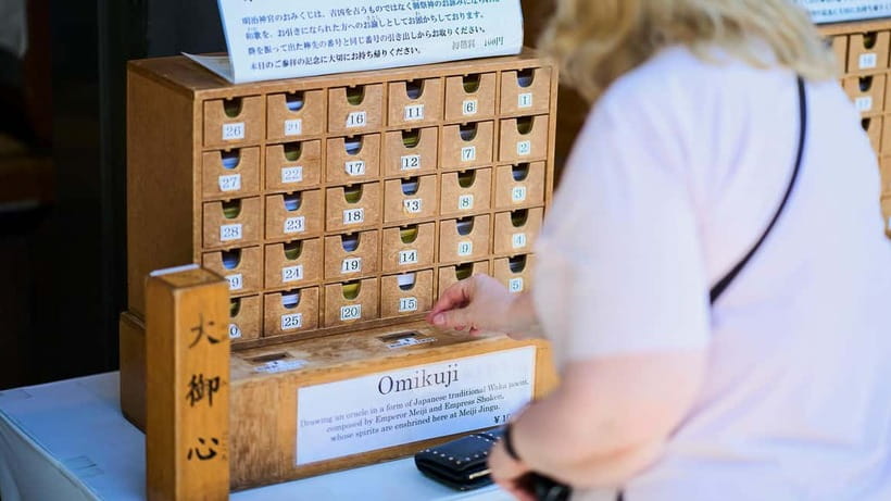 Tokyo: Meiji Shrine Walking Tour — Shinto & Imperial System - The 12-meter Big Torii