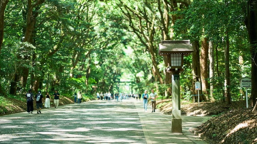 Tokyo: Meiji Shrine Walking Tour — Shinto & Imperial System - From Harajuku Station to the first torii