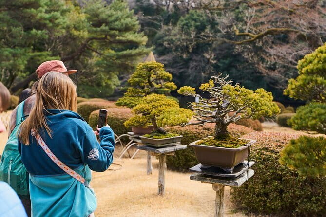 Tokyo: Meiji Shrine Walking Tour — Shintoism & Imperial System - Learning Shinto Customs Before the Main Shrine