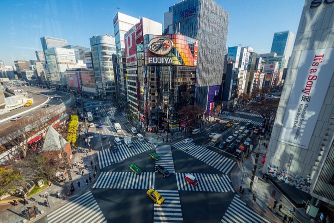 Tokyo Metropolis - Timing, weather, and practical planning