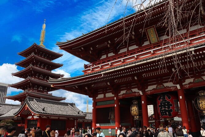 Tokyo Morning Tour : Meiji Shrine, Asakusa and Fish Market - Senso-ji: a grand finish in Asakusa