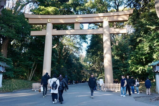 Tokyo Morning Tour : Meiji Shrine, Asakusa and Fish Market - What the guides add to the morning