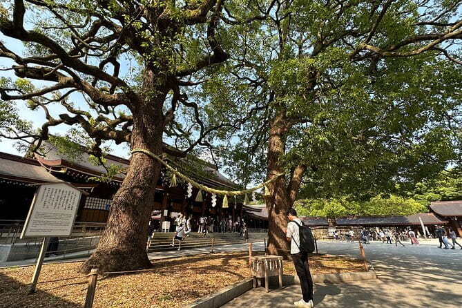 Tokyo Morning Tour : Meiji Shrine, Asakusa and Fish Market - Who will get the most from this tour