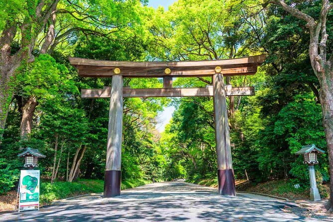 Tokyo Morning Tour : Meiji Shrine, Asakusa and Fish Market - Meiji Jingu: a quiet start beneath the torii gates