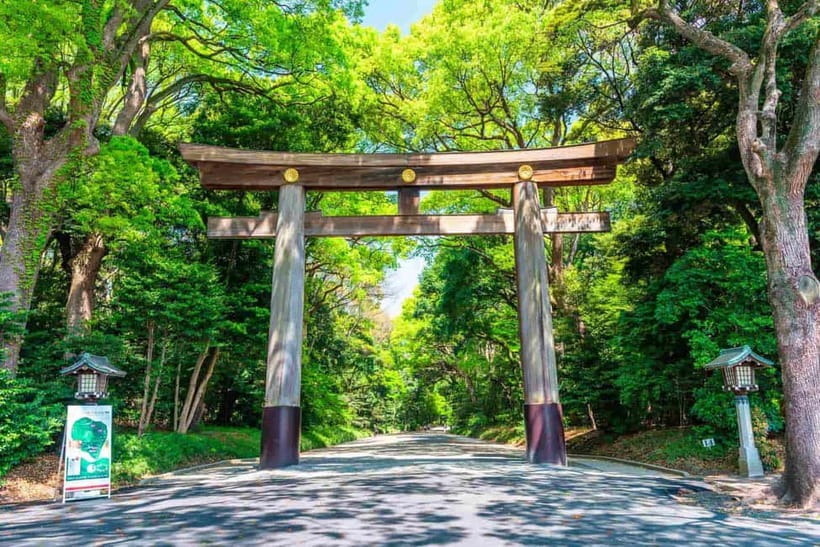 Tokyo Morning Tour: Meiji Shrine, Asakusa & Fish Market - Tsukiji Outer Market: the tour’s main food stop
