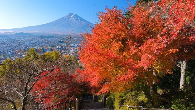 Tokyo: Mount Fuji 5th Station & Onsen Day Trip - Soaking at Konohananoyu Onsen