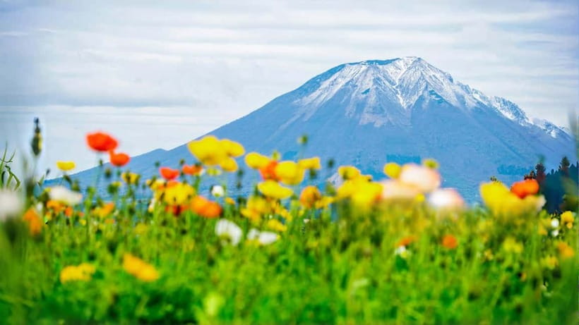 Tokyo: Mount Fuji 5th Station & Onsen Day Trip - Leaving Tokyo by coach
