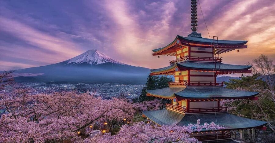 Tokyo: Mount Fuji & Hakone Private Tour with Guide - Key points to know before booking