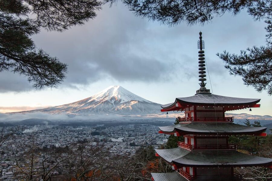 Tokyo: Mount Fuji & Hakone Private Tour with Guide - Is $761 good value?
