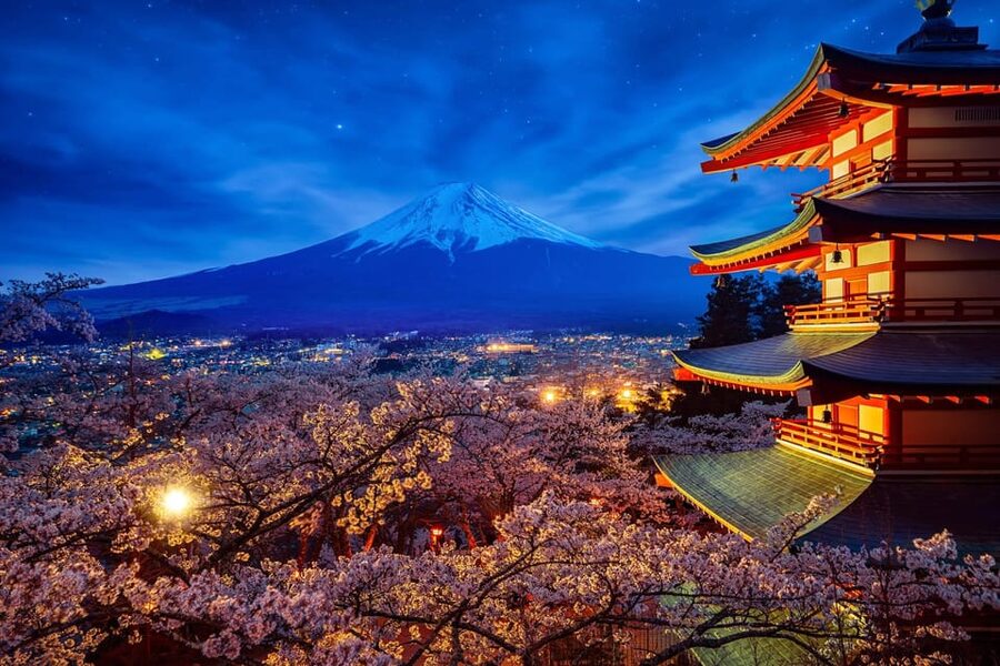 Tokyo: Mount Fuji & Hakone Private Tour with Guide - Oshino Hakkai and lunch near Mount Fuji