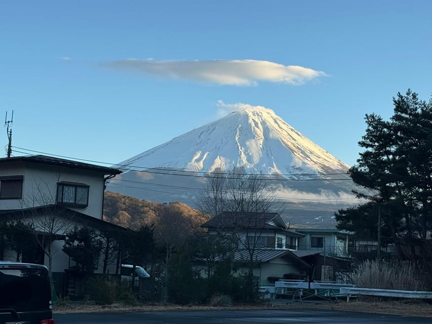 Tokyo: Mount Fuji & Hakone Private Tour with Guide - What the private vehicle adds