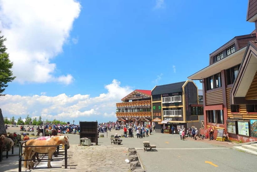 Tokyo: Mt. Fuji 5th St, Gotemba & Hakone by Luxury Bus - Key points before you book