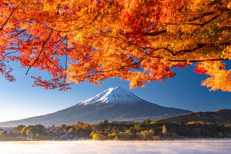 Tokyo: Mt. Fuji 5th Station, Kawaguchiko Tour w/ Cable Car - Mt. Fuji 5th Station at 2,305 Meters