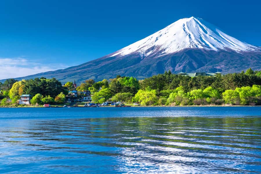 Tokyo: Mt. Fuji 5th Station, Kawaguchiko Tour w/ Cable Car - Cruising Lake Kawaguchi to Unoshima