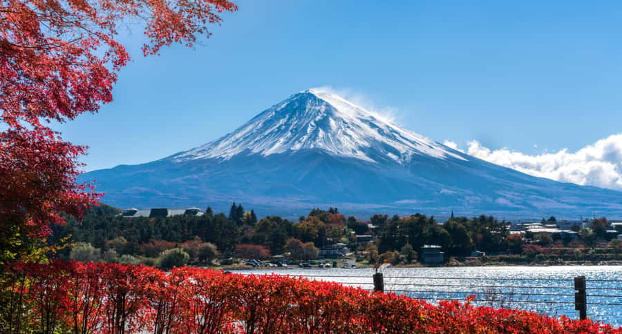 Tokyo: Mt. Fuji 5th Station, Kawaguchiko Tour w/ Cable Car - The Guide Makes the Long Day Easier