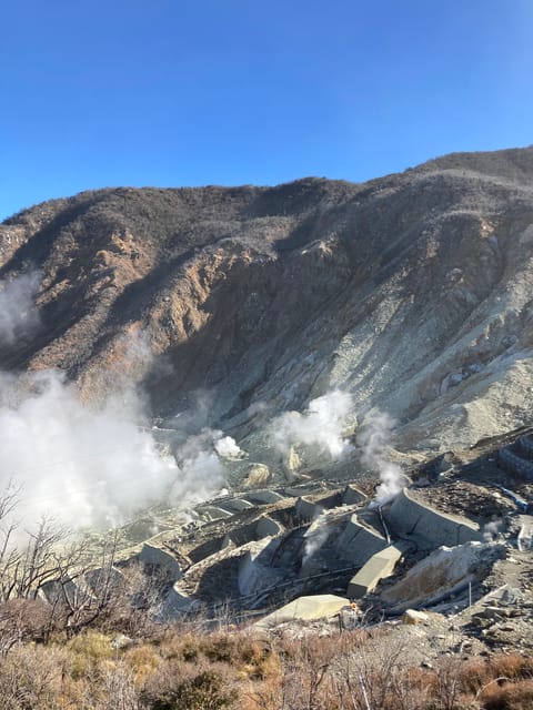 Tokyo: Mt. Fuji and Hakone Tour with Cable Car and Cruise - Returning to Tokyo, Hakone-Yumoto, or Odawara
