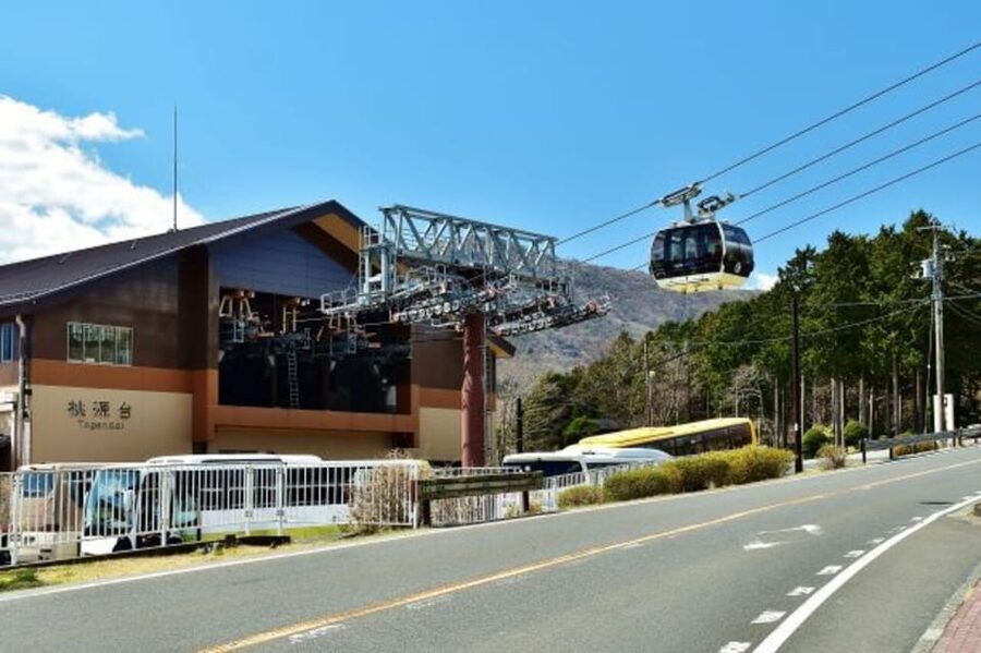 Tokyo: Mt. Fuji and Hakone Tour with Cable Car and Cruise - The guide can make the difference