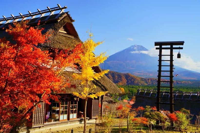Tokyo: Mt. Fuji, Arakurayama Sengen Park, Oshino Hakkai Tour - Key points to know before booking