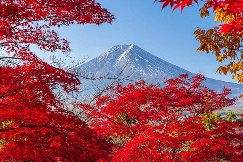 Tokyo: Mt. Fuji, Arakurayama Sengen Park, Oshino Hakkai Tour - Arakurayama Sengen Park and the famous pagoda view