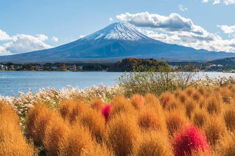 Tokyo: Mt. Fuji, Arakurayama Sengen Park, Oshino Hakkai Tour - Oshino Hakkai and its clear spring pools