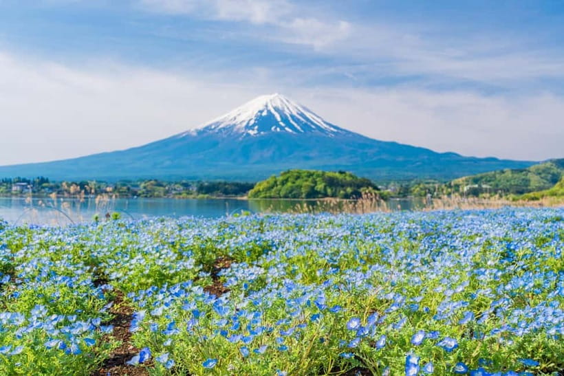 Tokyo: Mt. Fuji, Arakurayama Sengen Park, Oshino Hakkai Tour - Oishi Park on weekdays only