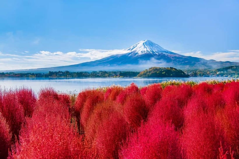 Tokyo: Mt. Fuji, Arakurayama Sengen Park, Oshino Hakkai Tour - Meeting at Shinjuku West Exit