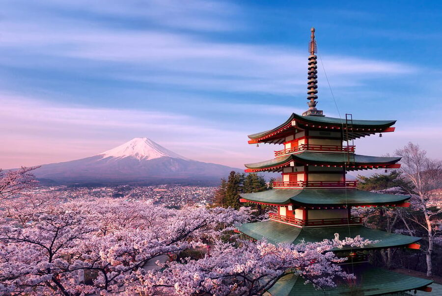 Tokyo:Mt Fuji & Hakone Day Tour with English Speaking Driver - Who will get the most from this tour?