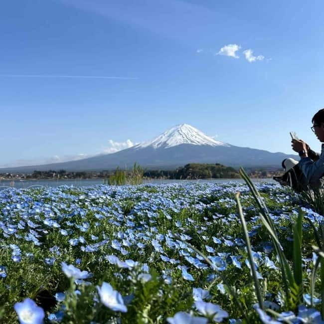 Tokyo: Mt. Fuji & Hakone Private Custom Tour English Driver - Lake Kawaguchi and Oishi Park