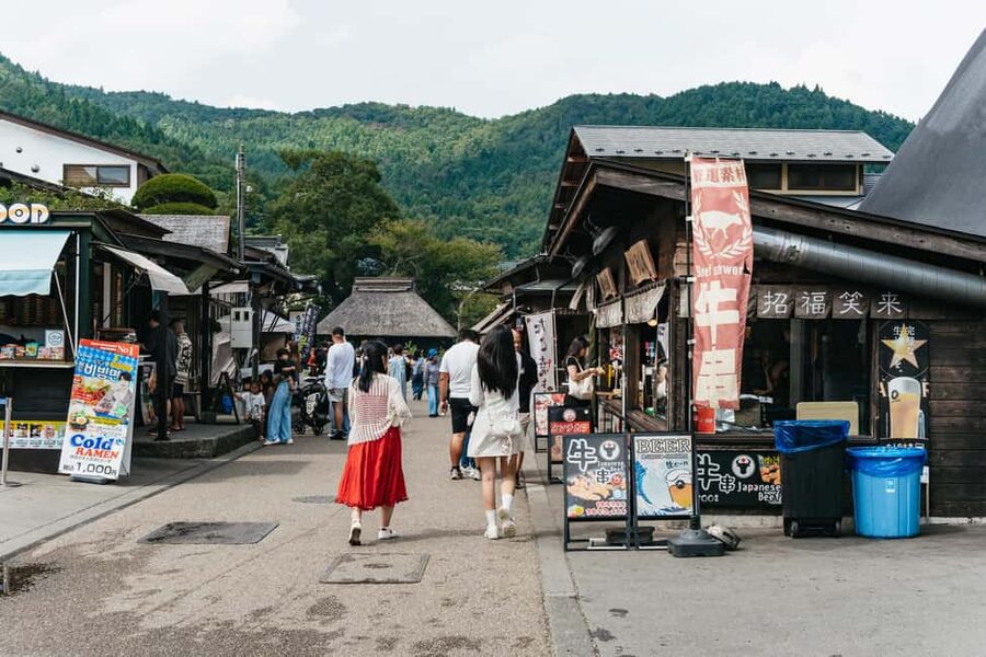 Tokyo: Mt. Fuji, Kamakura, Big Buddha, & Lake Ashi Day Trip - Practical advice for making the day easier