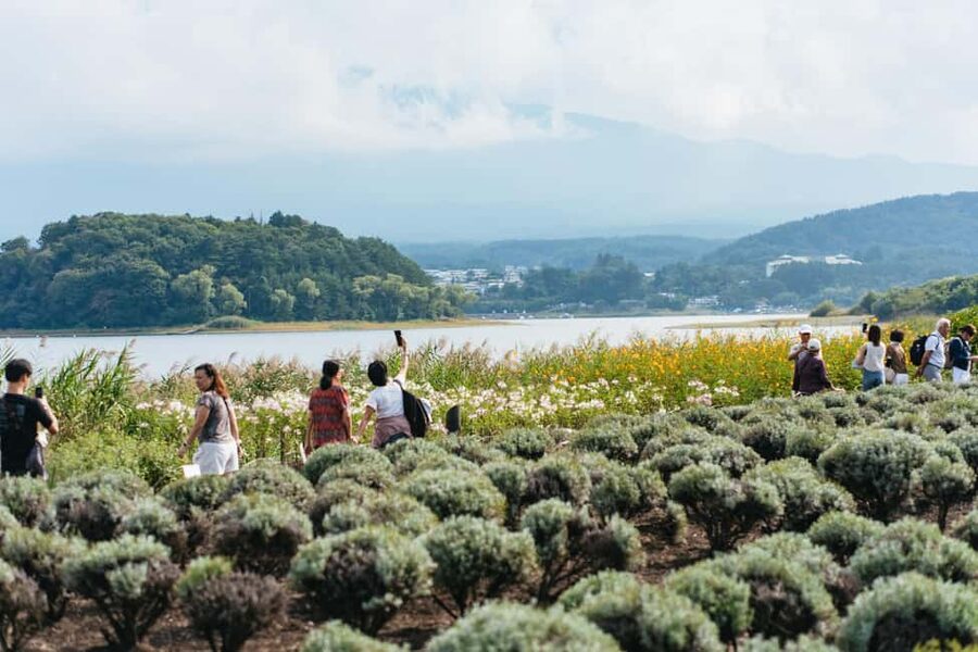 Tokyo: Mt. Fuji, Kamakura, Big Buddha, & Lake Ashi Day Trip - The bus ride is part of the bargain