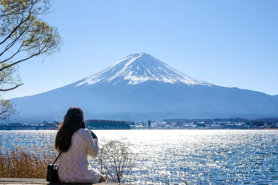 Tokyo: Mt. Fuji, Kamakura, Big Buddha, & Lake Ashi Day Trip - Who should book this day trip