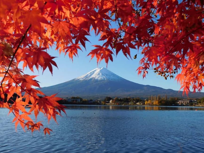 Tokyo:Mt.Fuji,Kawaguchiko Oishi Park,Arakurayama Sengen Park - Why this Mt. Fuji day trip works