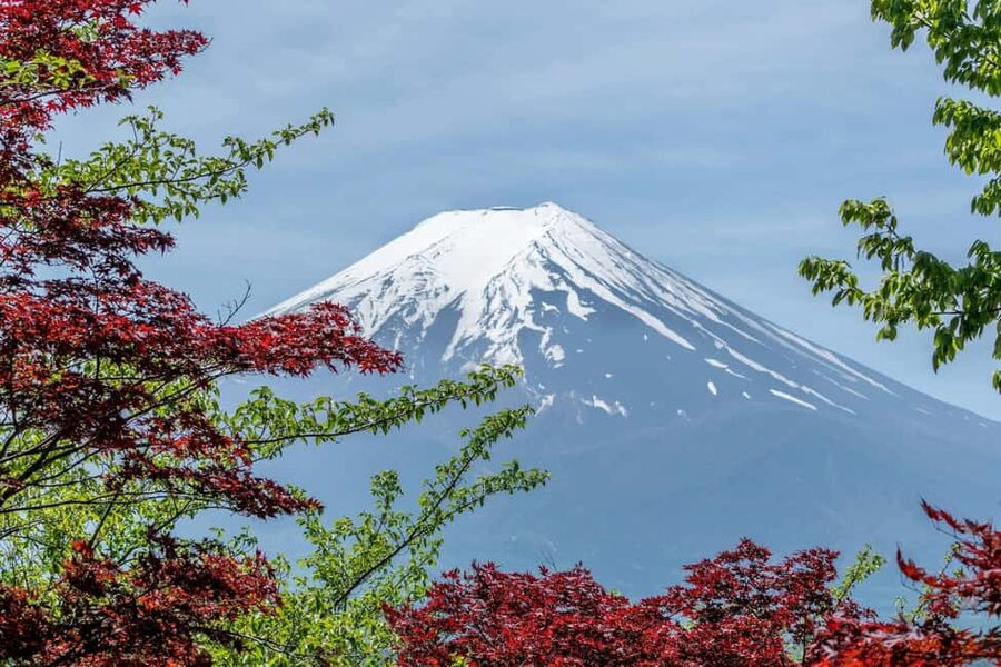 Tokyo: Mt. Fuji & Lake Kawaguchi Private Tour with Transfer - What the vehicle and guide service add