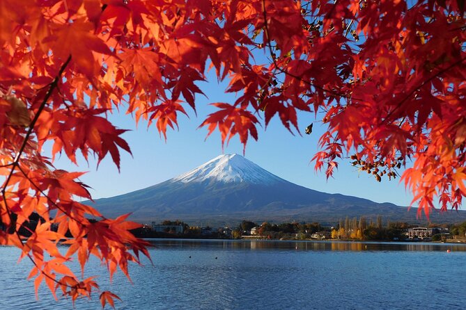 Tokyo: Mt.Fuji & Lake Kawaguchiko 1-Day Bus Tour w/Optional Lunch - Starting at Shinjuku and riding toward Fuji