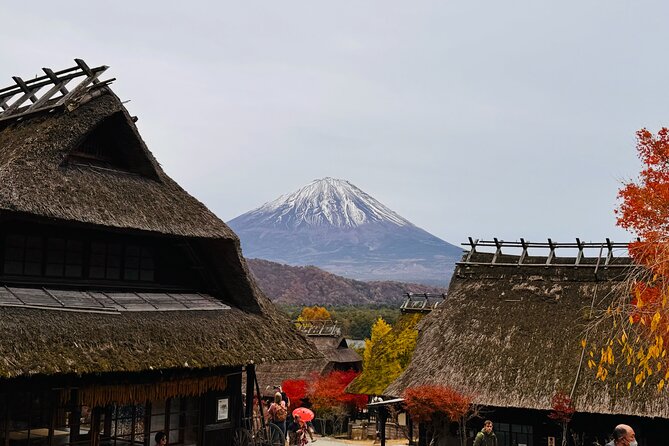 Tokyo: Mt.Fuji & Lake Kawaguchiko 1-Day Bus Tour w/Optional Lunch - Who should book this Fuji tour