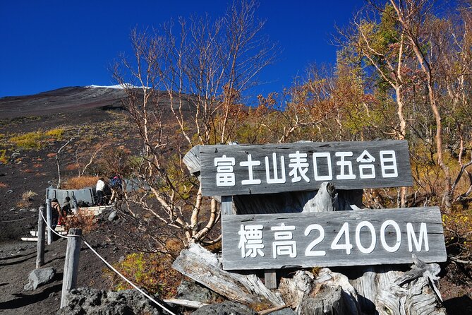 Tokyo: Mt. Fuji, Oshino Hakkai and Gotemba Outlets 1-Day Bus Tour - What this Tokyo to Mt. Fuji tour is really like