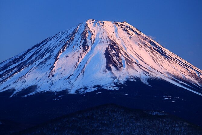Tokyo: Mt. Fuji, Oshino Hakkai and Gotemba Outlets 1-Day Bus Tour - Lake Kawaguchi and the Craft Park lunch stop