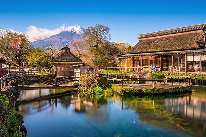 Tokyo: Mt. Fuji, Oshino Hakkai and Gotemba Outlets 1-Day Bus Tour - Price, group size, and what you receive