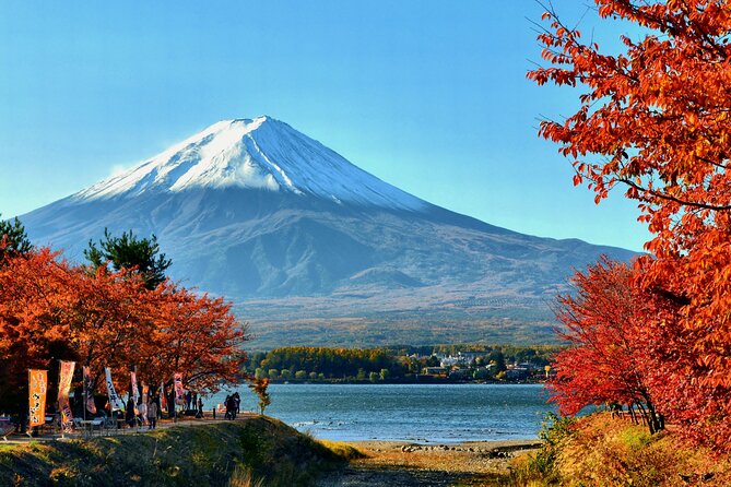 Tokyo: Mt. Fuji, Oshino Hakkai and Gotemba Outlets 1-Day Bus Tour - Oshino Hakkai and the eight clear ponds