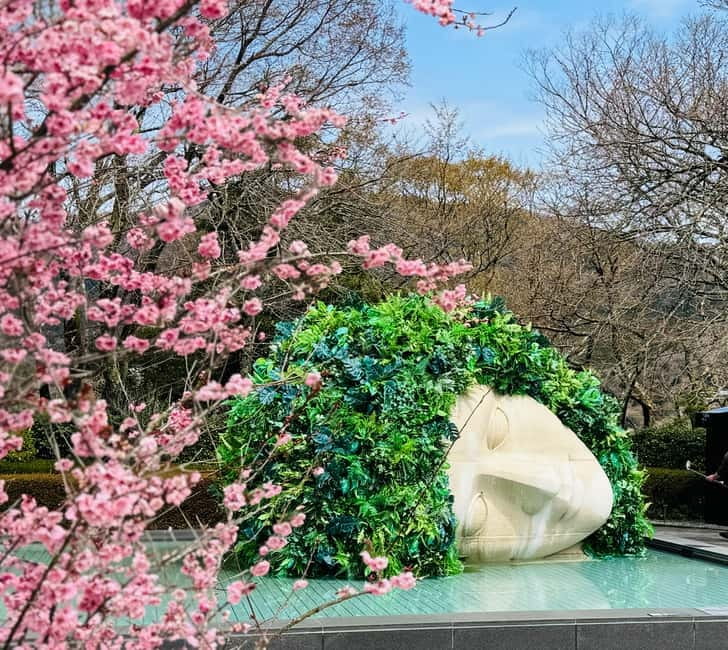 Tokyo: Mt. Fuji, Owakudani, Hakone Shrine, & Open-Air Museum - Key points at a glance