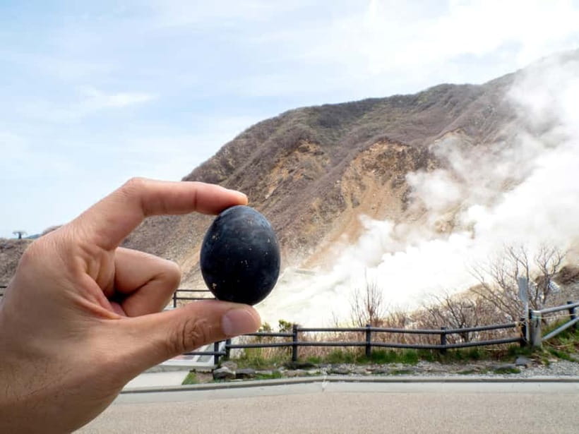 Tokyo: Mt. Fuji, Owakudani, Hakone Shrine, & Open-Air Museum - Reading the volcanic ground at Owakudani