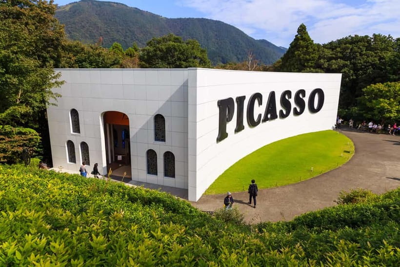 Tokyo: Mt. Fuji, Owakudani, Hakone Shrine, & Open-Air Museum - Who should book this Hakone day tour