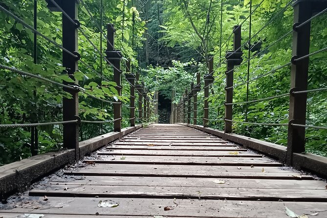 Tokyo: Mt Takao Tour with Ramen and Tattoo-Okay Hot Spring - Monkeys and wildflowers at the mountain park