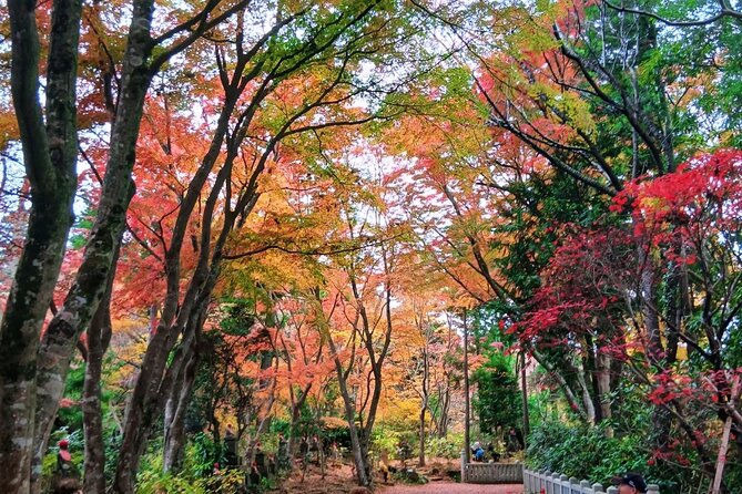 Tokyo: Mt Takao Tour with Ramen and Tattoo-Okay Hot Spring - The Takao 599 Museum sets the scene