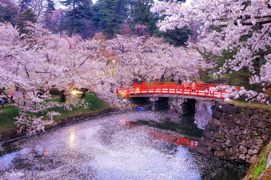 Tokyo: Nikko Day Tour Shrines, Lake Chūzenji & Kegon Falls - Shinkyo Bridge and Nikko’s sacred entrance