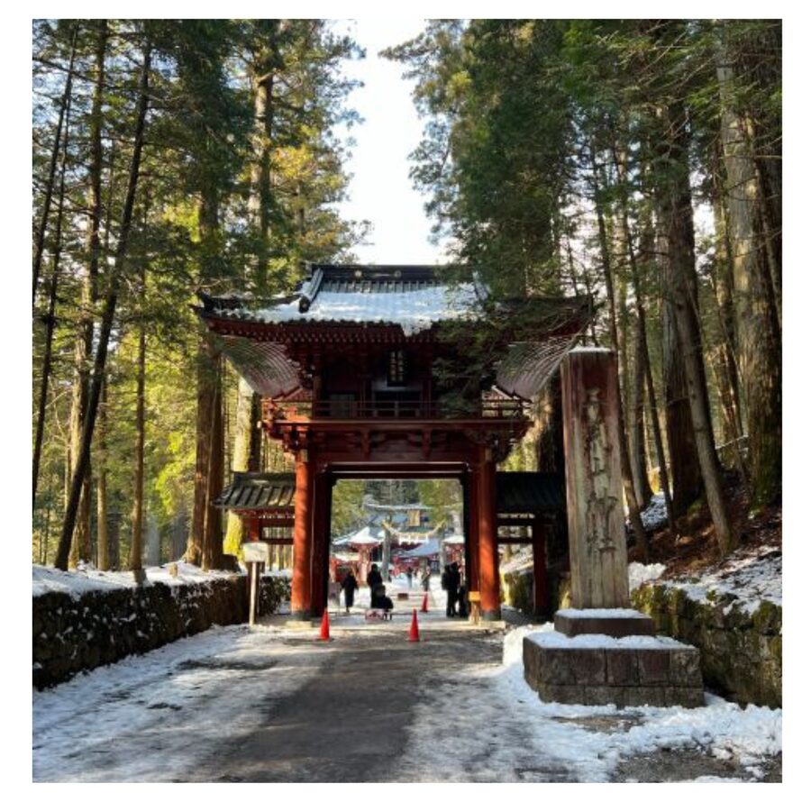 Tokyo: Nikko Day Tour Shrines, Lake Chūzenji & Kegon Falls - Lake Chūzenji and the climb to Kegon Falls