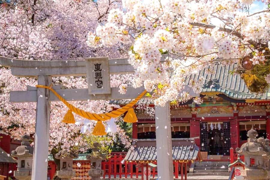 Tokyo: Nikko Day Tour Shrines, Lake Chūzenji & Kegon Falls - Toshogu Shrine: decoration, scale, and crowds