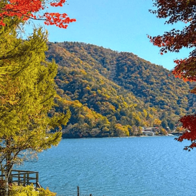 Tokyo → Nikko:Private Customizable Day Trip (English Driver) - Toshogu Shrine and the Tokugawa story