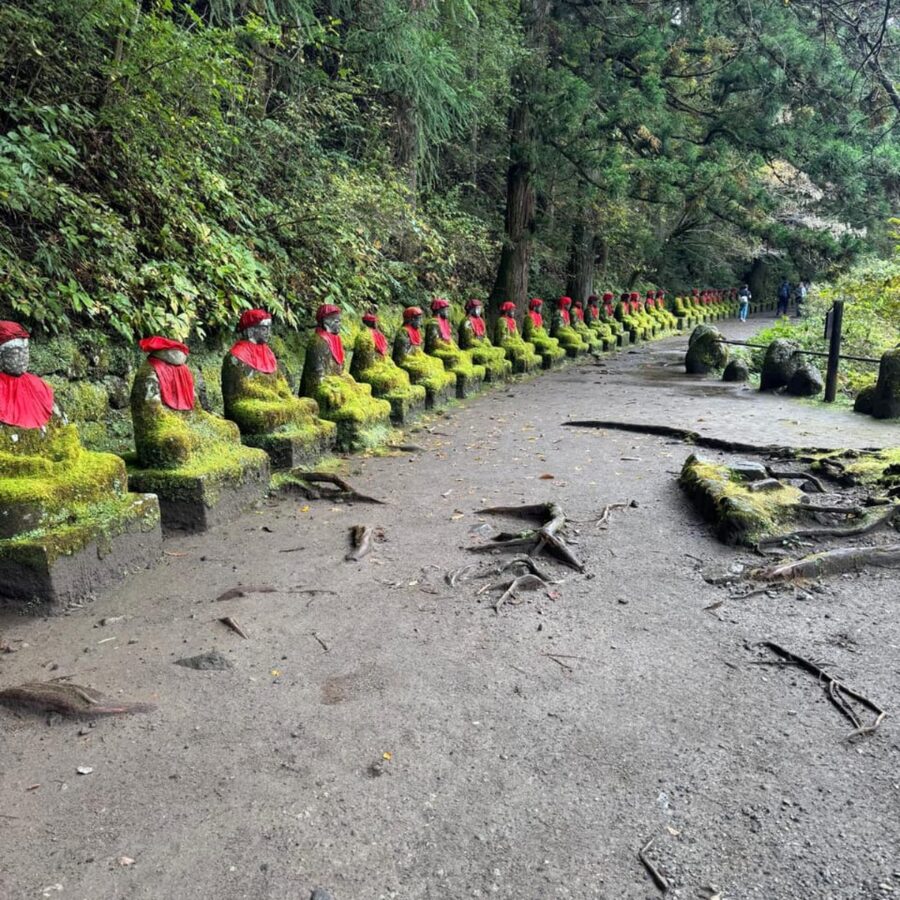 Tokyo → Nikko:Private Customizable Day Trip (English Driver) - Shinkyo Bridge and central Nikko