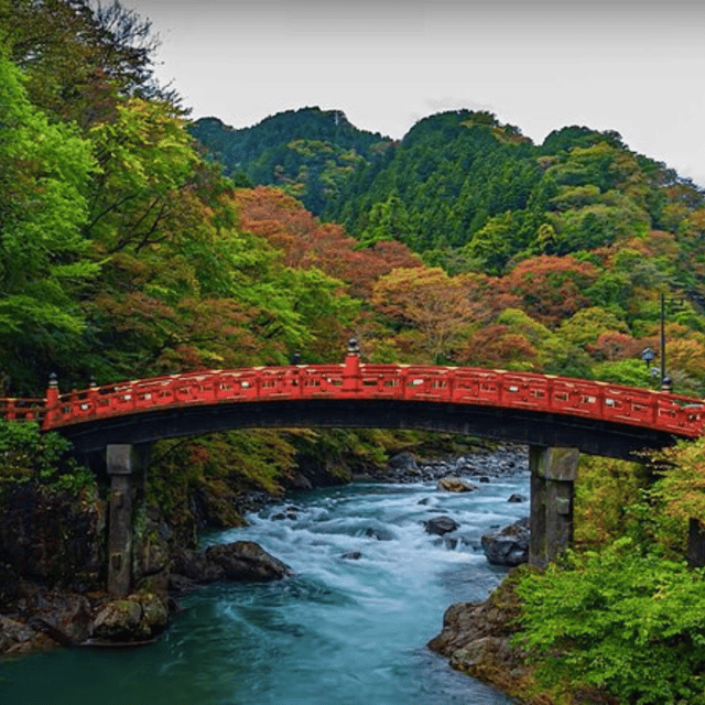 Tokyo → Nikko:Private Customizable Day Trip (English Driver) - Nikkō National Park and the forest setting